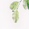 Icon representing natural ingredients and purity